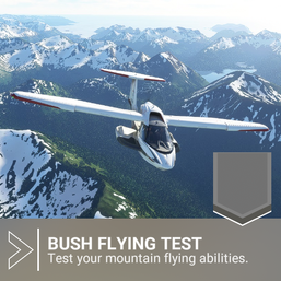 Bush Pilot - Bush Flying Test