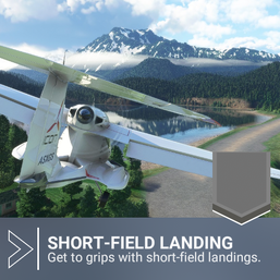 Bush Pilot - Short-field Landing