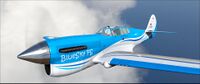 Flight Sim World-Curtiss P-40F Warhawk Add-On 9.jpg